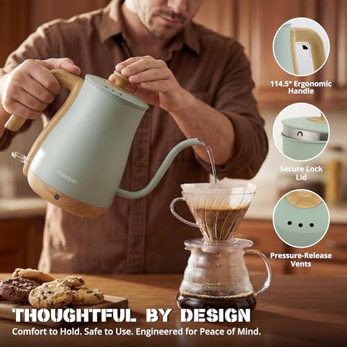 Gooseneck Electric Kettle (Light Green / 0.8 Quarts)