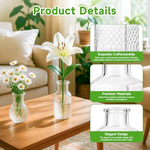 Glass Bud Vase Set of 20 Pcs