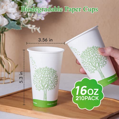 210 Count 16 oz Compostable Paper Cup (210Pack 16oz PLA Cups)