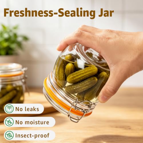 Small Glass Storage Jars with Airtight Lids Wide Mouth 17 oz 6 Pack (Clear 17oz Square -6 sets)