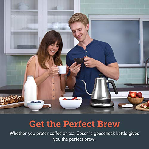 Gooseneck Electric Kettle with Temperature Control (Silver / 0.8 Quarts)