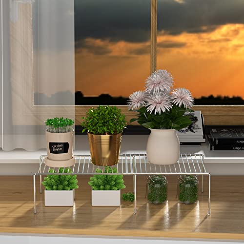Cabinet Storage Shelf Rack