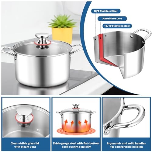 6 Quart Stock Pot