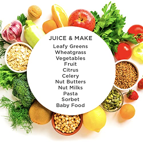 Juicer Premium Vegetable and Fruit Juice Extractor and Nutrition System Makes Nut Milks Baby Food and Sorbets (Silver)