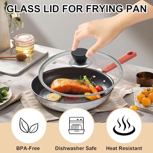12 Inch Pan Lid (12 inch)