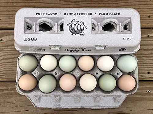 Egg Cartons Adorable Printed Design for Farm Fresh Eggs (Blank Stamping / 250)
