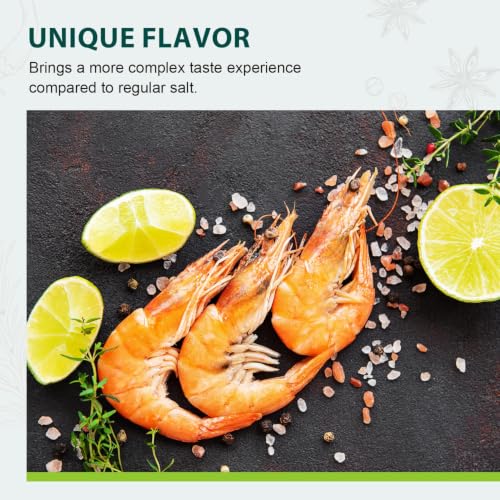 Himalayan Pink Salt (16 Ounce (Pack of 1))