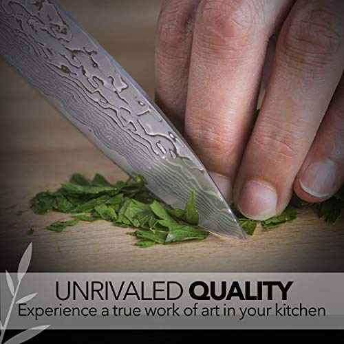 Kagayaki Japanese Chef’s Knife