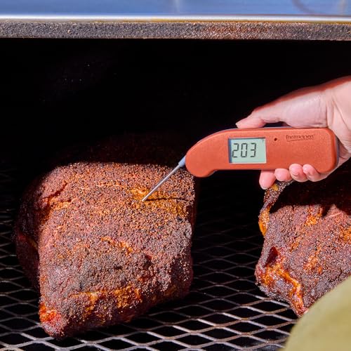Thermapen ONE