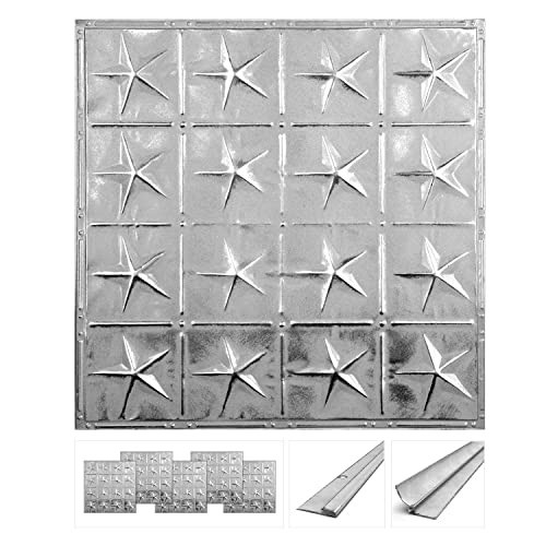 Tin Backsplash [5 (Pattern #36 Americana Star / Silver Washed White)