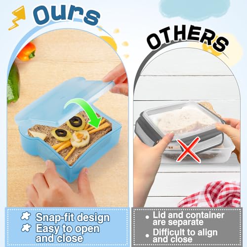 20 Oz Sandwich Containers for Kids (2 Colors)