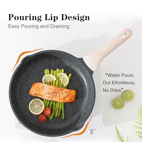 Non Stick Frying Pan Skillet with Lid (Classic Granite / 11 Inch)