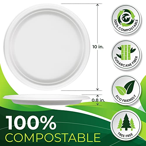 150pcs 100% Compostable Paper Plates (White / 10in(150count))