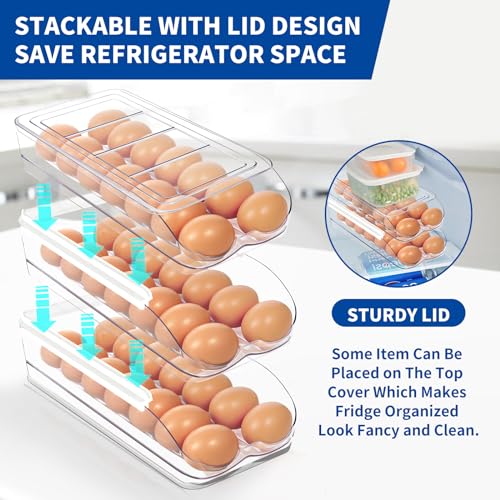 Egg Holder for Fridge