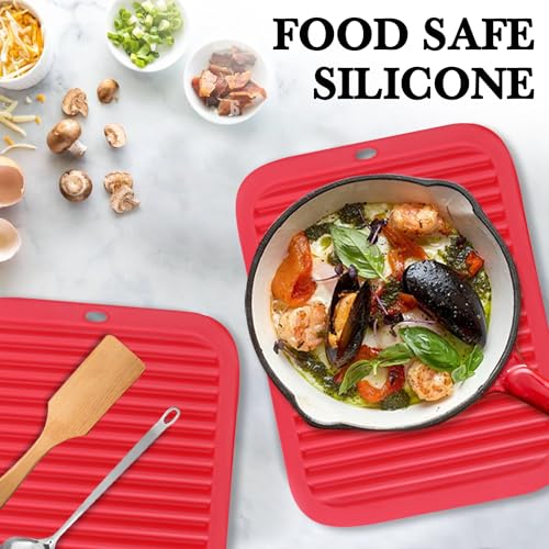 2 Pack Silicone Trivets (2 Count)