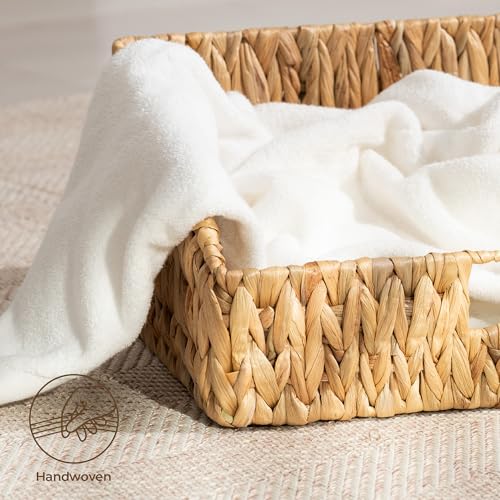 Pantry Baskets for Organizing (Natural(Water Hyacinth) / 15¾"L x 11"W x 7½"H + 14¼"L x 9¾"W x 6¾"H)