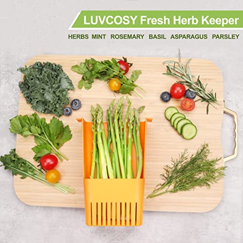 Fresh Herb Keeper for Refrigerator (Herb Keeper - Orange)