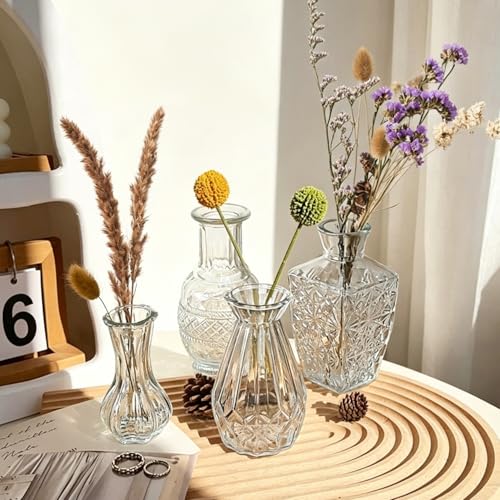 Glass Bud Vase Set of 5 Pcs Small Minimalist Vases for Flowers (Clear)