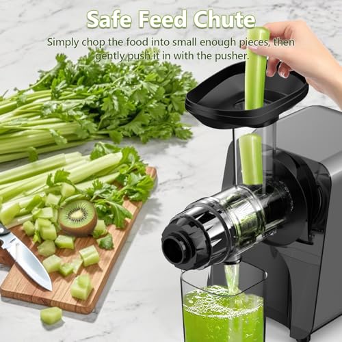 Masticating Juicer Machine 250W