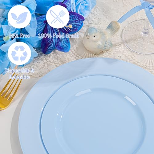 60PCS Light Blue Heavy Duty Plastic Disposable Party Plates Set (60 / Baby Blue)