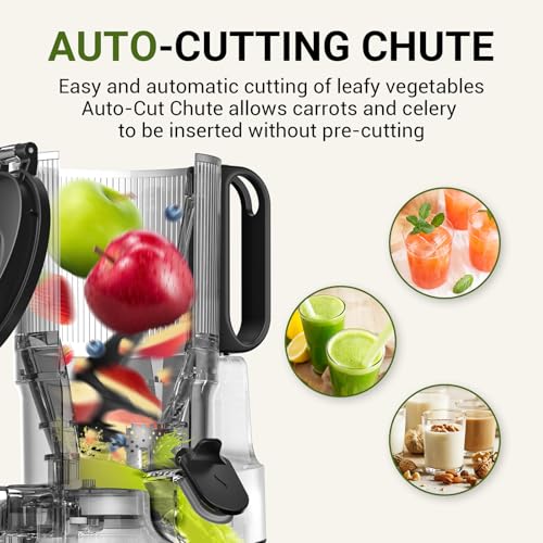Cold Press Juicer (Gray / 5.8")