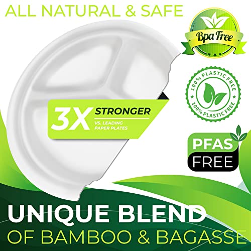 100PCS 100% Compostable 10in Paper Plates (White / 10in Sectional(100count))