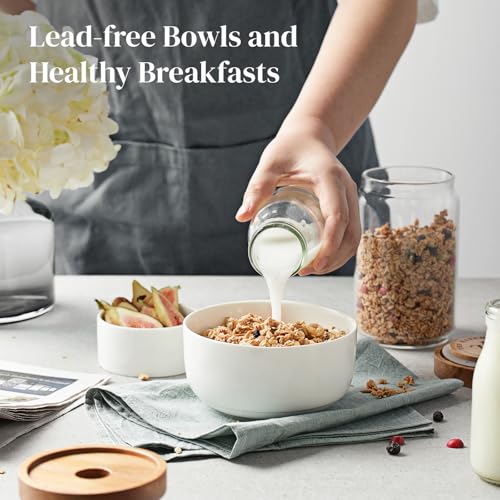 White Ceramic Bowls Set of 6 (22 oz)