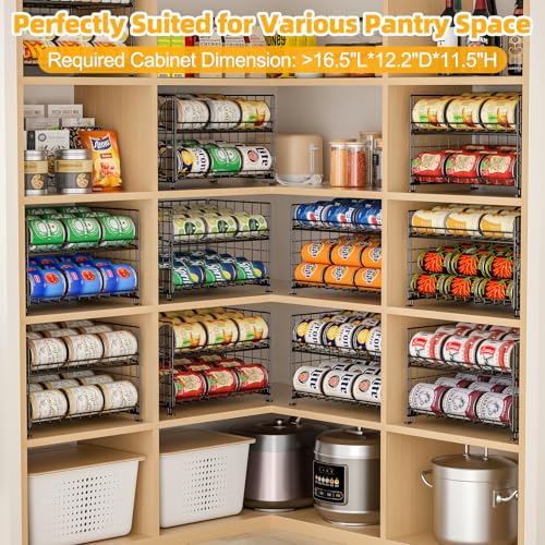 2 Pack Stackable Rack Organizer (2 Count)