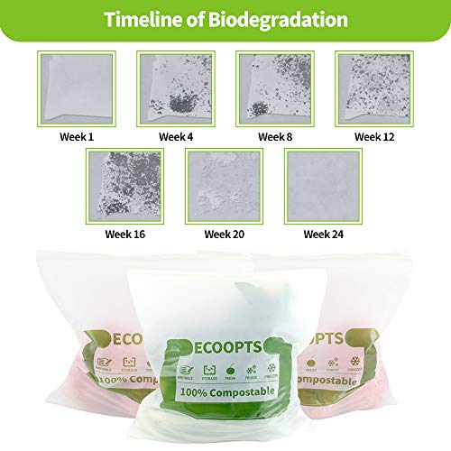 100% Compostable Large Sandwich Zip Bag