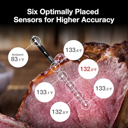 WiFi Wireless Meat Thermometer
