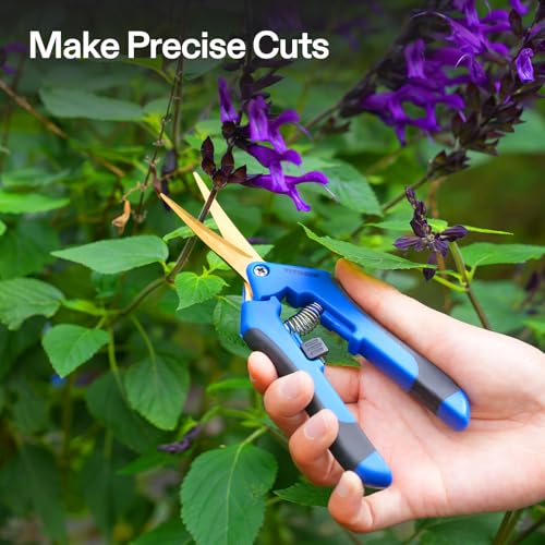 6.5 Inch Garden Scissors (Blue Curved Blade / Blue)