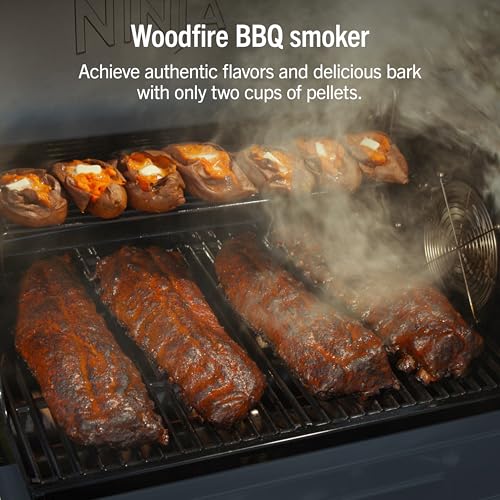 FlexFlame Grill & Smoker (Blue)