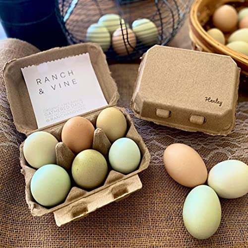 Half Dozen Blank Egg Cartons (Tan / 20)