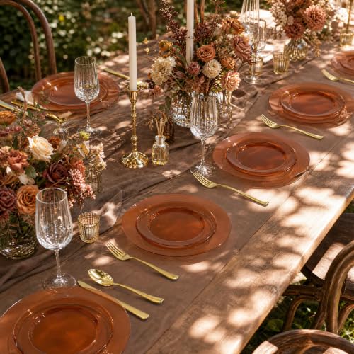 102 Pcs Amber Plastic Plates (102 Pieces / Clear Brown)