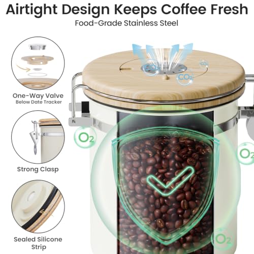 Coffee Canister with Window (Cream / 16 oz)