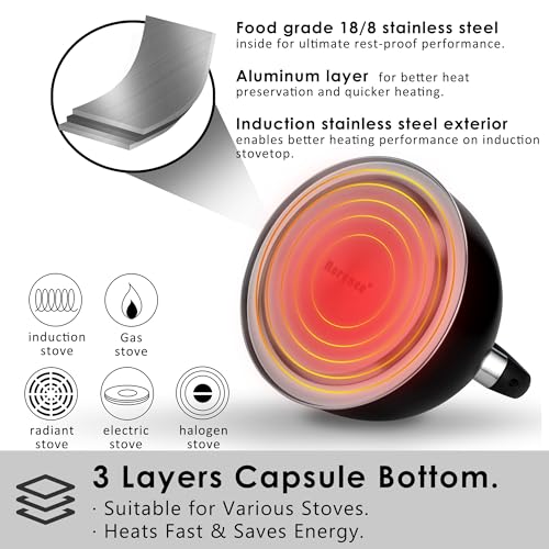 2.6 Quart Whistling Stainless Steel Tea Kettle for Stovetop (T-11BK)
