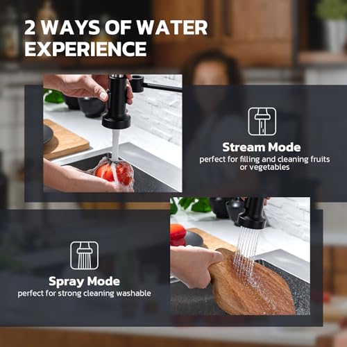 Kitchen Faucet with Soap Dispenser (Matte Black)
