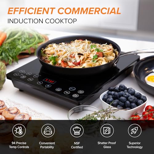 Portable Induction Cooktop