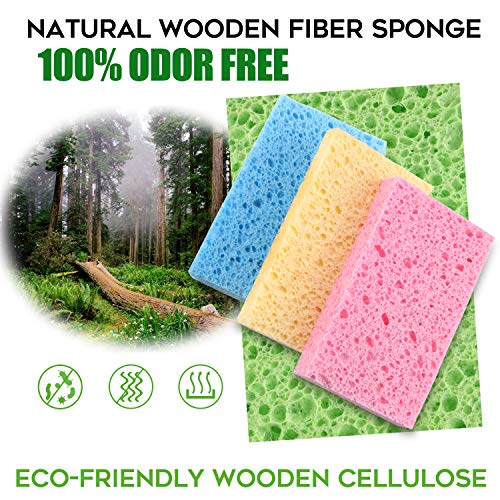 Cleaning Scrub Colored Sponge (16 Count)