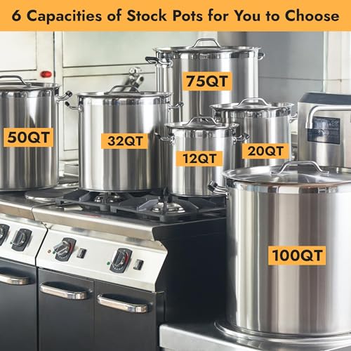 50 Quart Heavy Duty Stock Pot with Lid (50 Quarts)