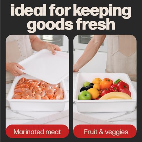 Pizza Dough Proofing Box (2 Pack)