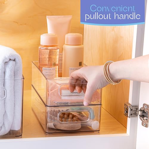 Plastic Food Storage 2 Pack Clear Container Bin with Handles for Organizing Kitchen (2 Count)