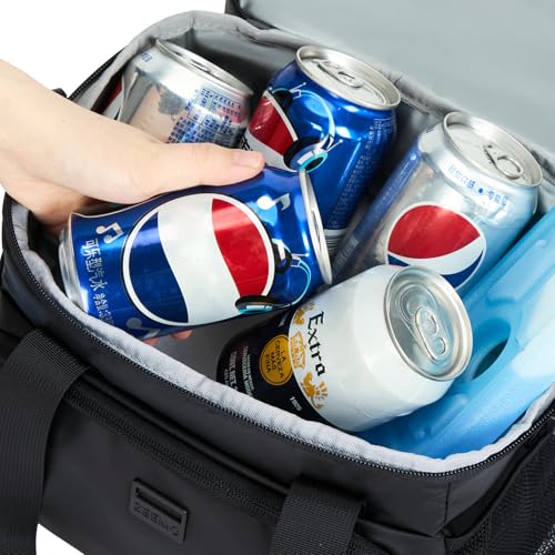 Cooler Lunch Bag (Double Layers-12.5L / Black)