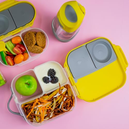 Mini Lunch Box 2