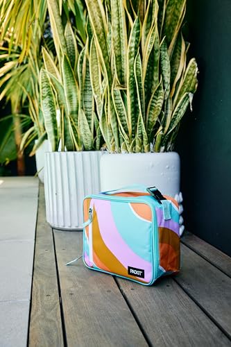 Freezable Classic Lunch Box