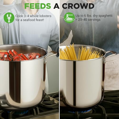 19 Qt Stock Pot with Lid (Stainless Steel / 19 Quarts)