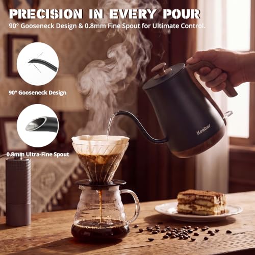 Gooseneck Electric Kettle (Matte Black / 0.8 Quarts)
