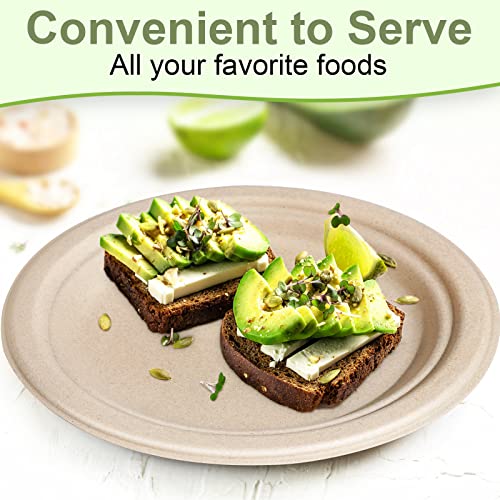 Disposable Paper Plates 9 inch (9 inch 50 pack)