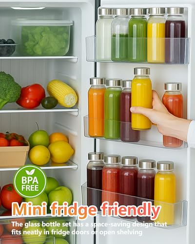 Glass Water Bottles with Stainless Steel Lids 12 oz