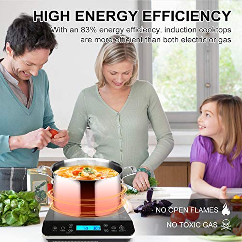 Portable Induction Cooktop (Silver / 1800 Watts / Cooktop)